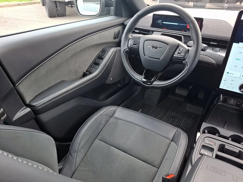 2025 Ford Mustang Mach-E - Image 14 of 20