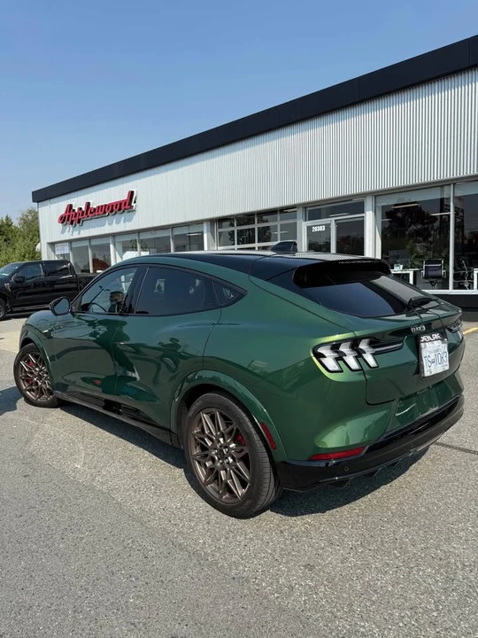 2025 Ford Mustang Mach-E - Image 3 of 18