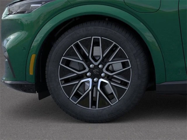 2025 Ford Mustang Mach-E - Image 19 of 20