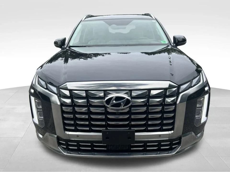 2025 Hyundai Palisade - Image 12 of 12