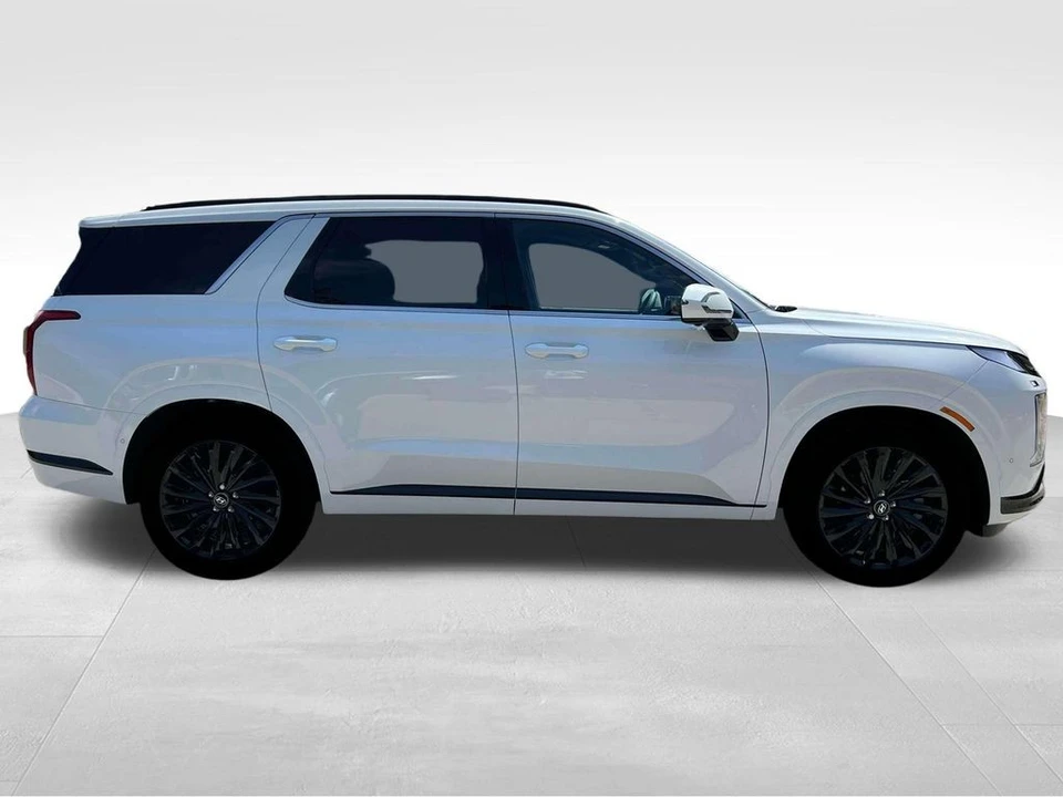 2025 Hyundai Palisade - Image 11 of 12