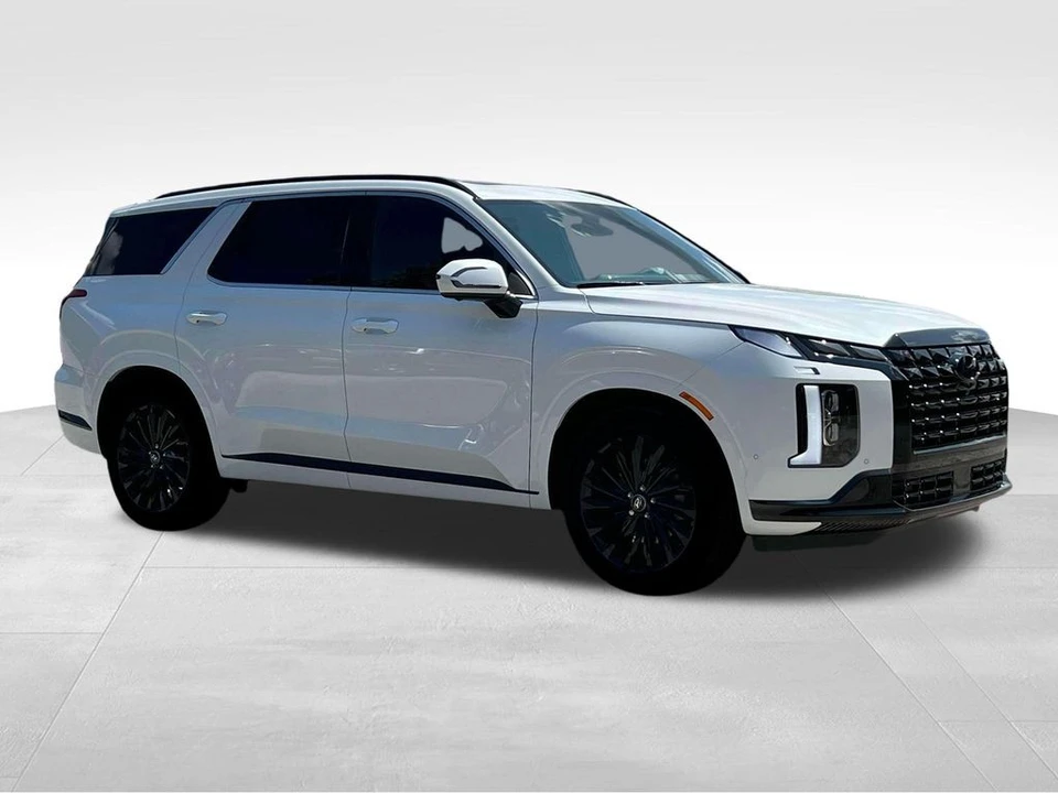 2025 Hyundai Palisade - Image 12 of 12