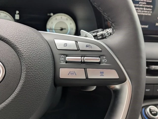 2025 Hyundai Palisade - Image 21 of 21