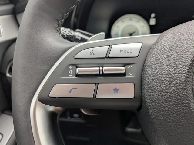 2025 Hyundai Palisade - Image 20 of 21