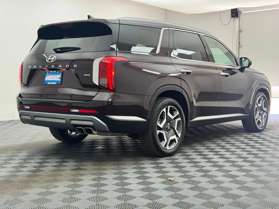2025 Hyundai Palisade - Image 10 of 12