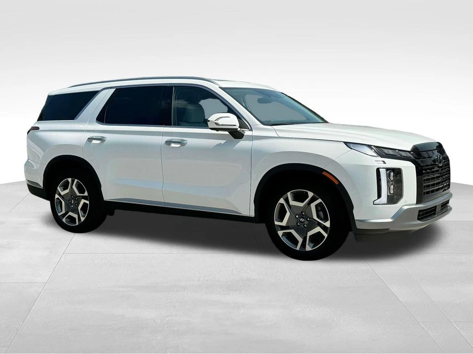 2025 Hyundai Palisade - Image 12 of 12