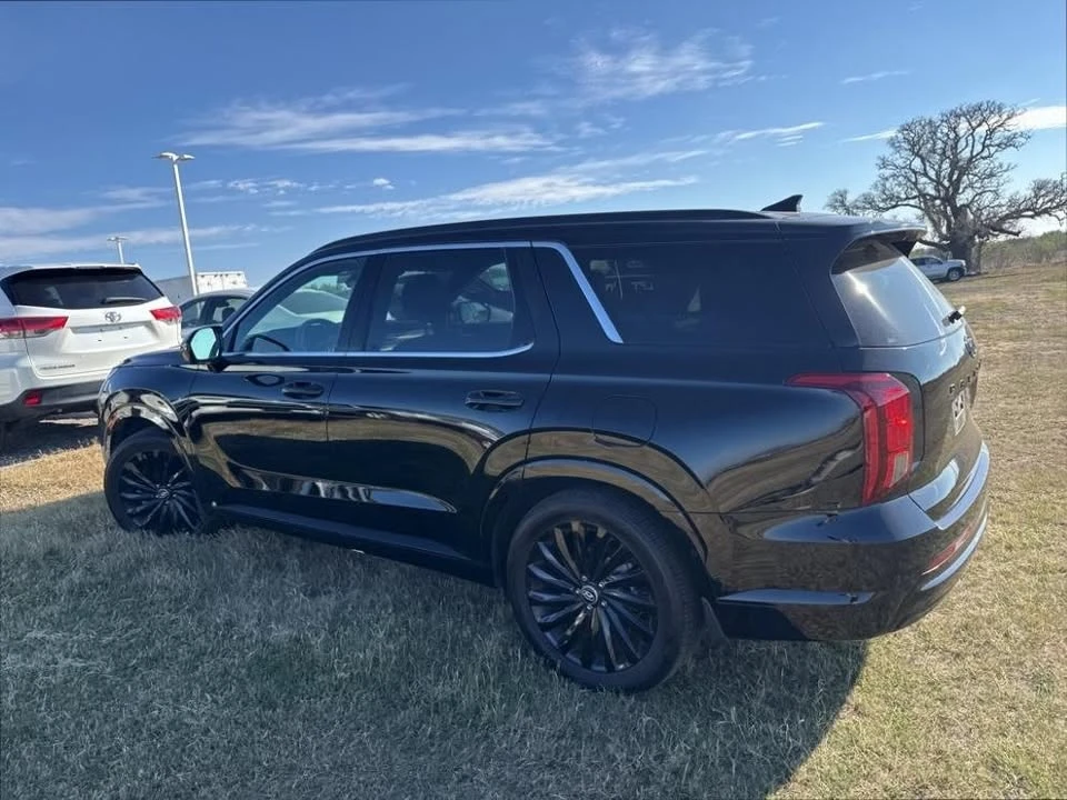 2025 Hyundai Palisade - Image 9 of 10