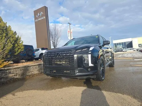 2025 Hyundai Palisade Ultimate Calligraphy Night