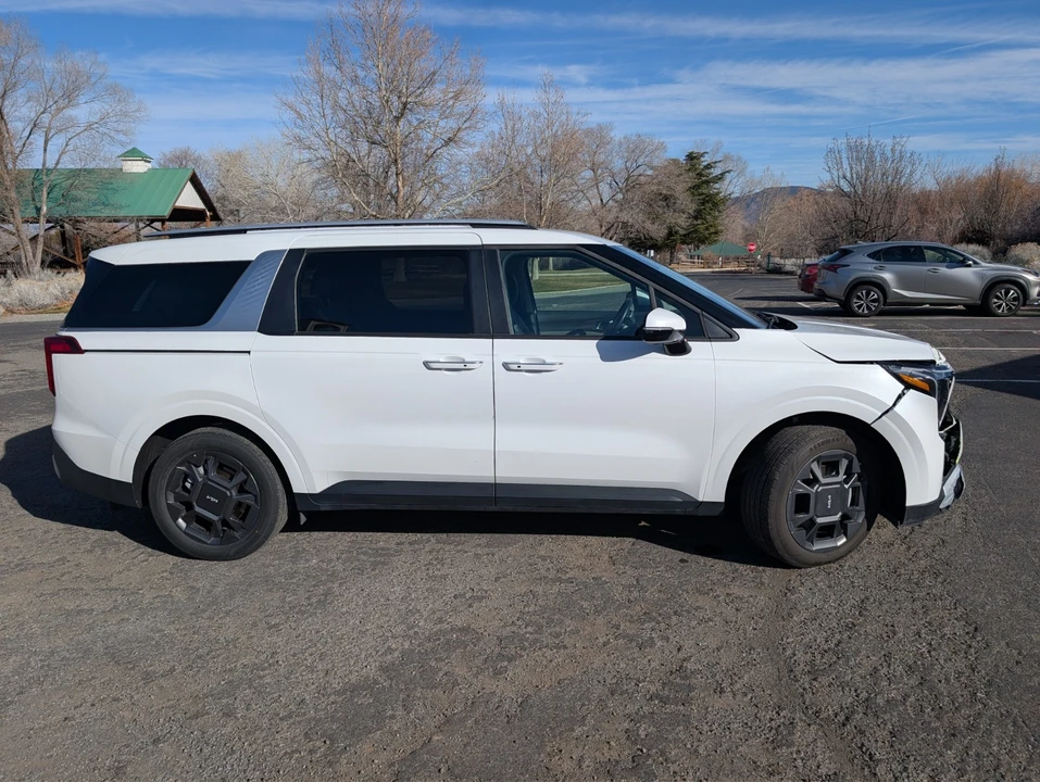 2025 Kia Carnival - Image 20 of 21