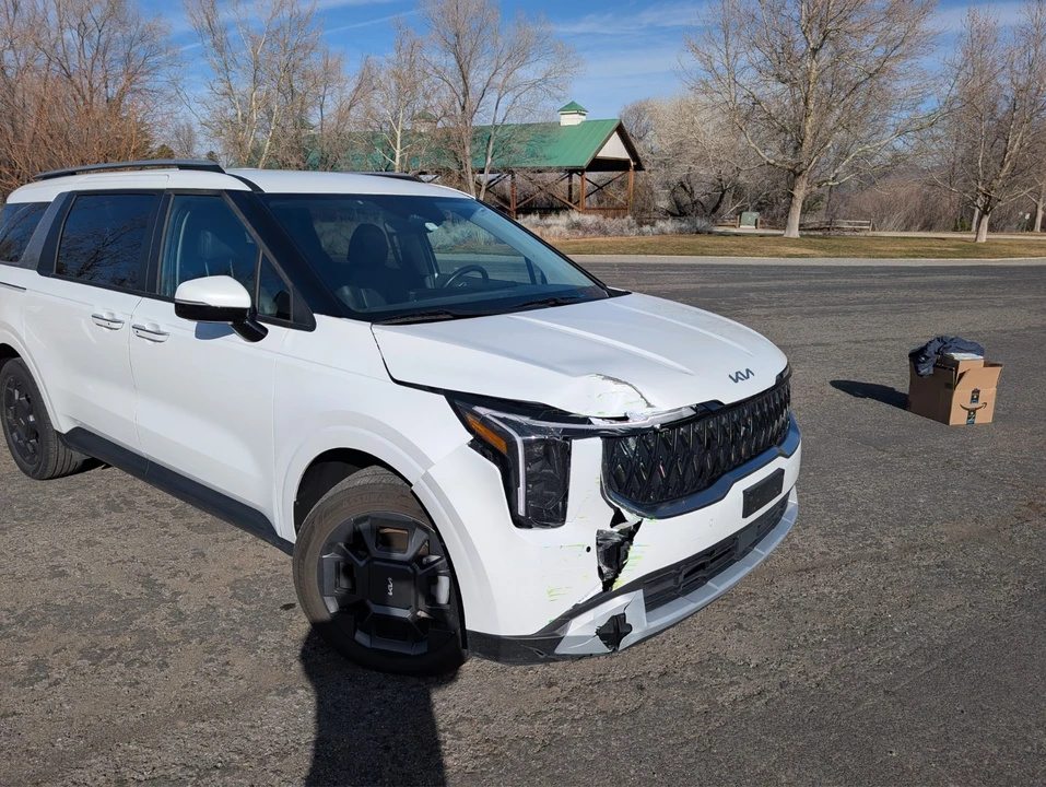 2025 Kia Carnival - Image 21 of 21
