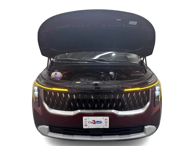 2025 Kia Carnival - Image 11 of 12