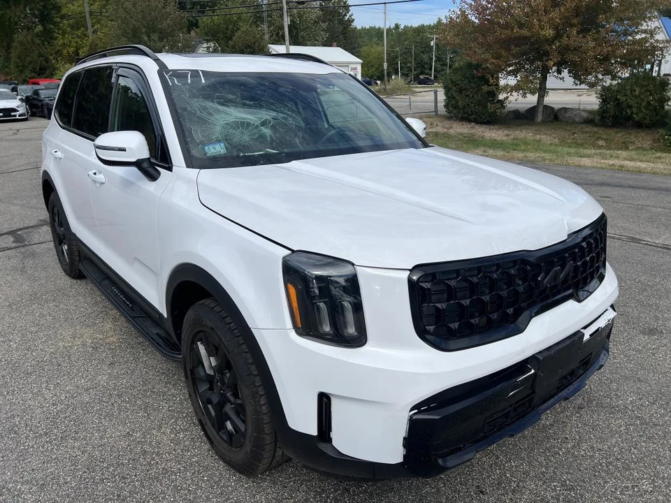 2025 Kia Telluride - Image 9 of 12