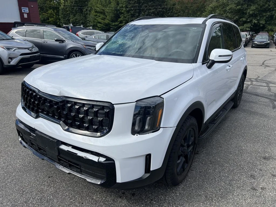 2025 Kia Telluride - Image 10 of 12