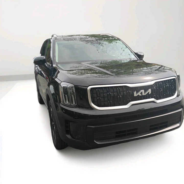 2025 Kia Telluride - Image 2 of 15