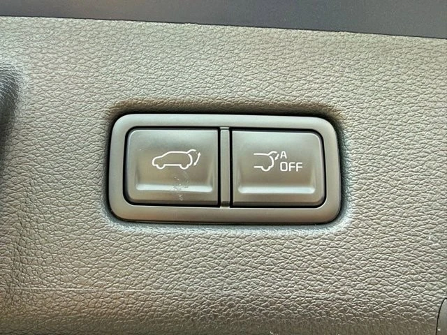 2025 Kia Telluride - Image 11 of 12