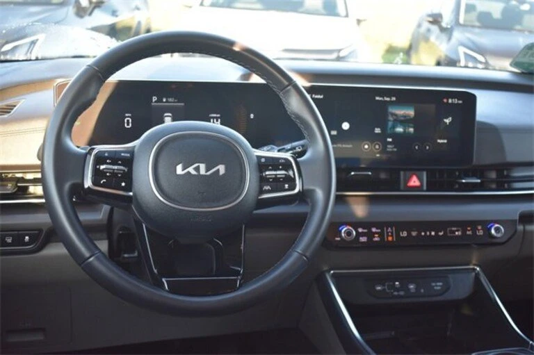 2025 Kia Carnival - Image 19 of 20