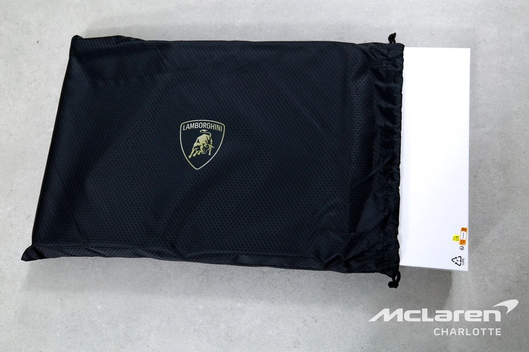 2025 Lamborghini Urus SE - Image 31 of 31