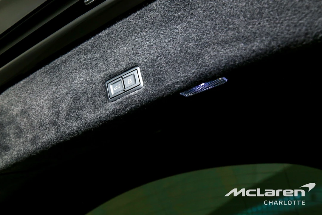 2025 Lamborghini - Image 22 of 31