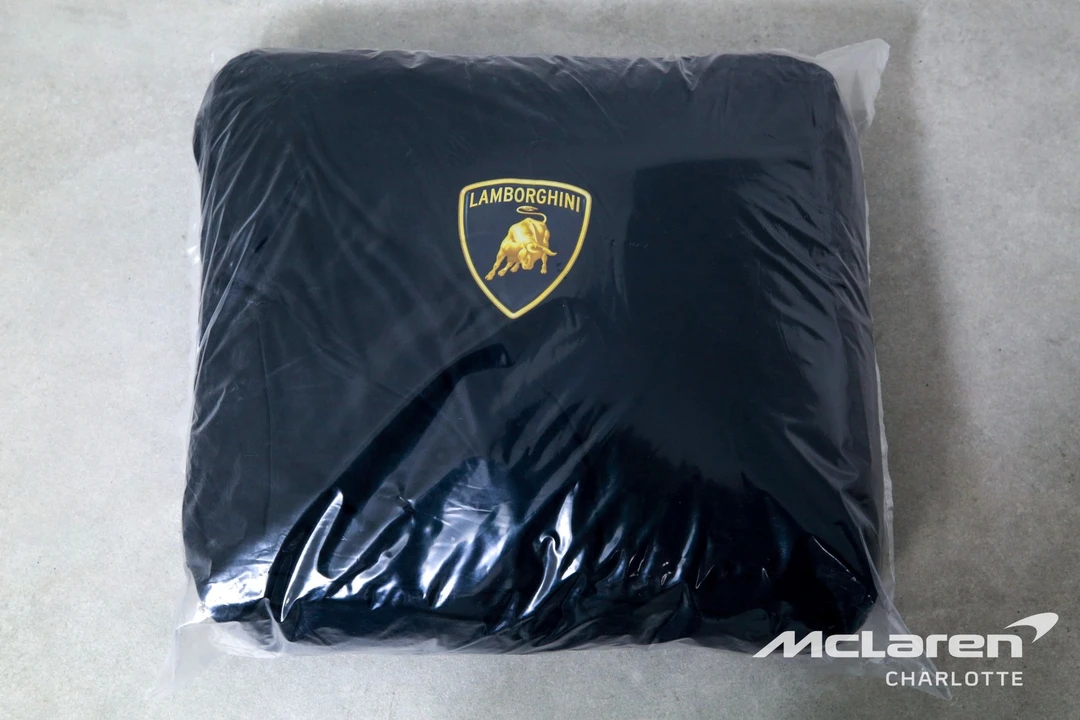 2025 Lamborghini - Image 31 of 31
