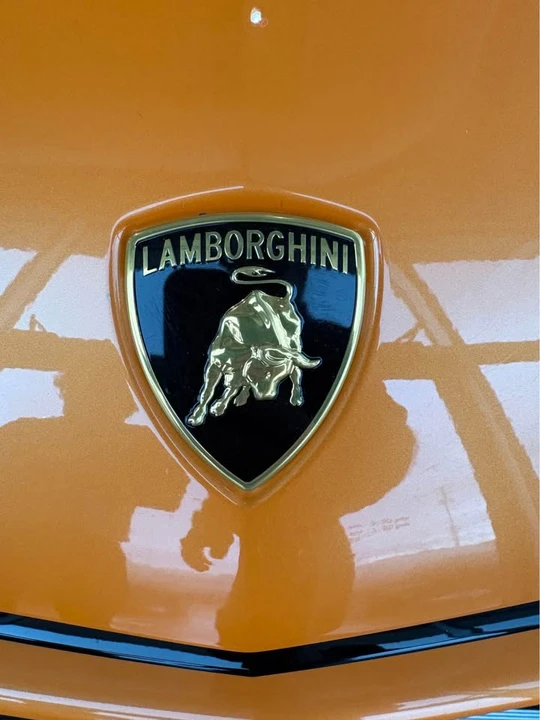 2025 Lamborghini Urus - Image 10 of 10