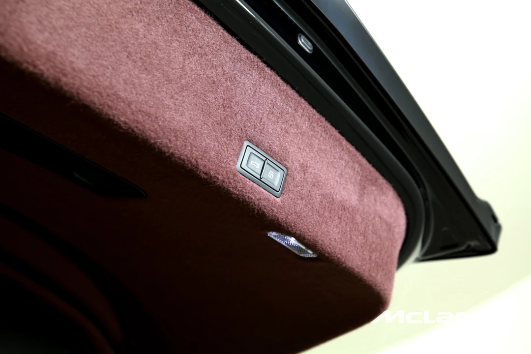 2025 Lamborghini Urus SE - Image 25 of 31