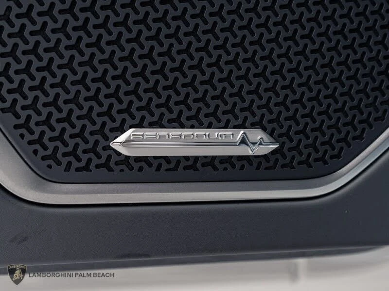 2025 Lamborghini Urus SE - Image 21 of 26