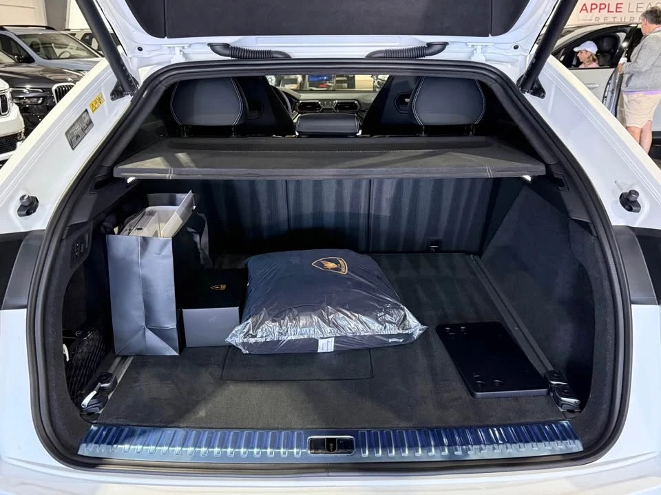 2025 Lamborghini Urus SE - Image 18 of 19