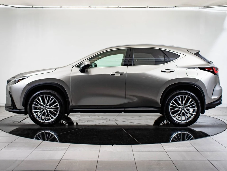 2025 Lexus NX 2nd Gen - Image 12 of 21