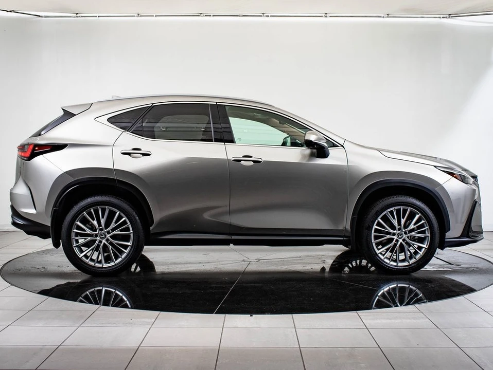 2025 Lexus NX 2nd Gen - Image 6 of 21