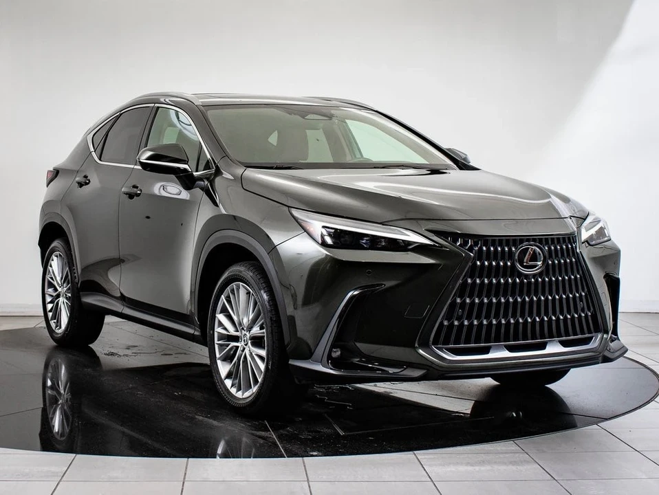 2025 Lexus NX 2nd Gen - Image 12 of 21