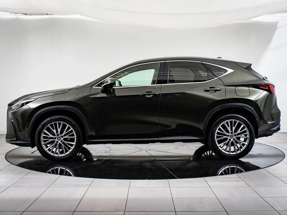 2025 Lexus NX 2nd Gen - Image 5 of 21
