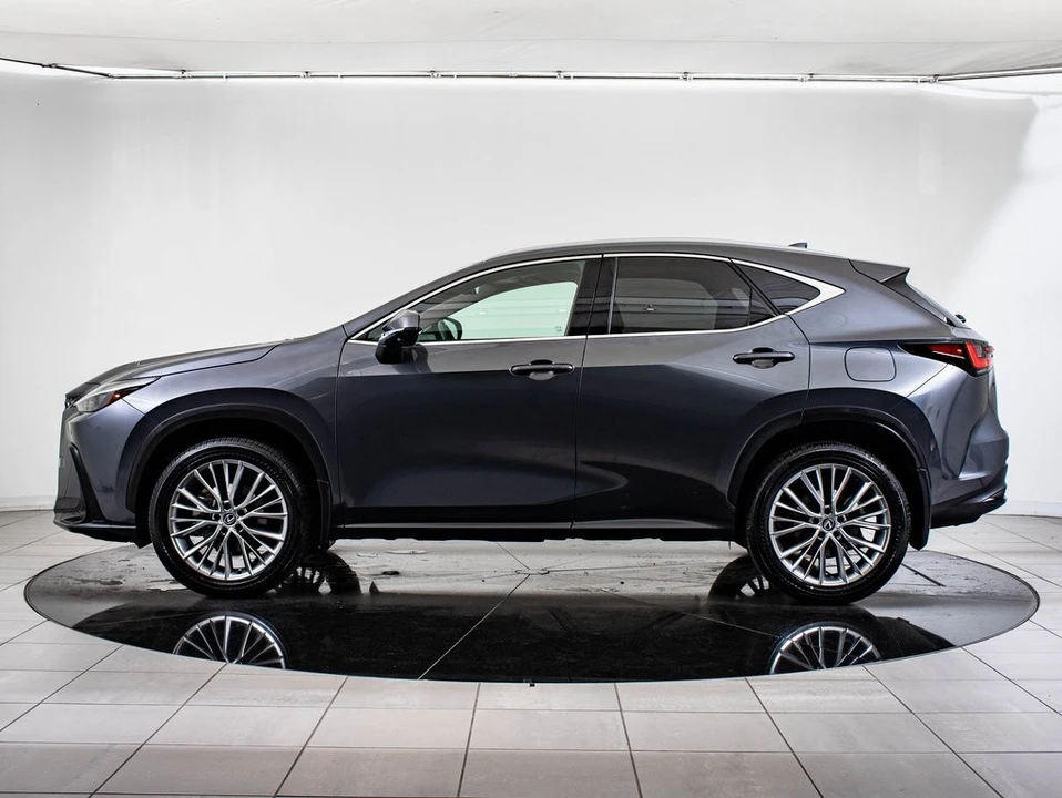 2025 Lexus NX 2nd Gen - Image 5 of 21