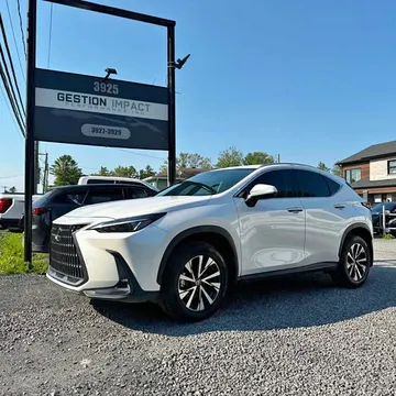 2025 Lexus NX 250