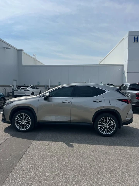 2025 Lexus NX 2nd Gen - Image 8 of 15