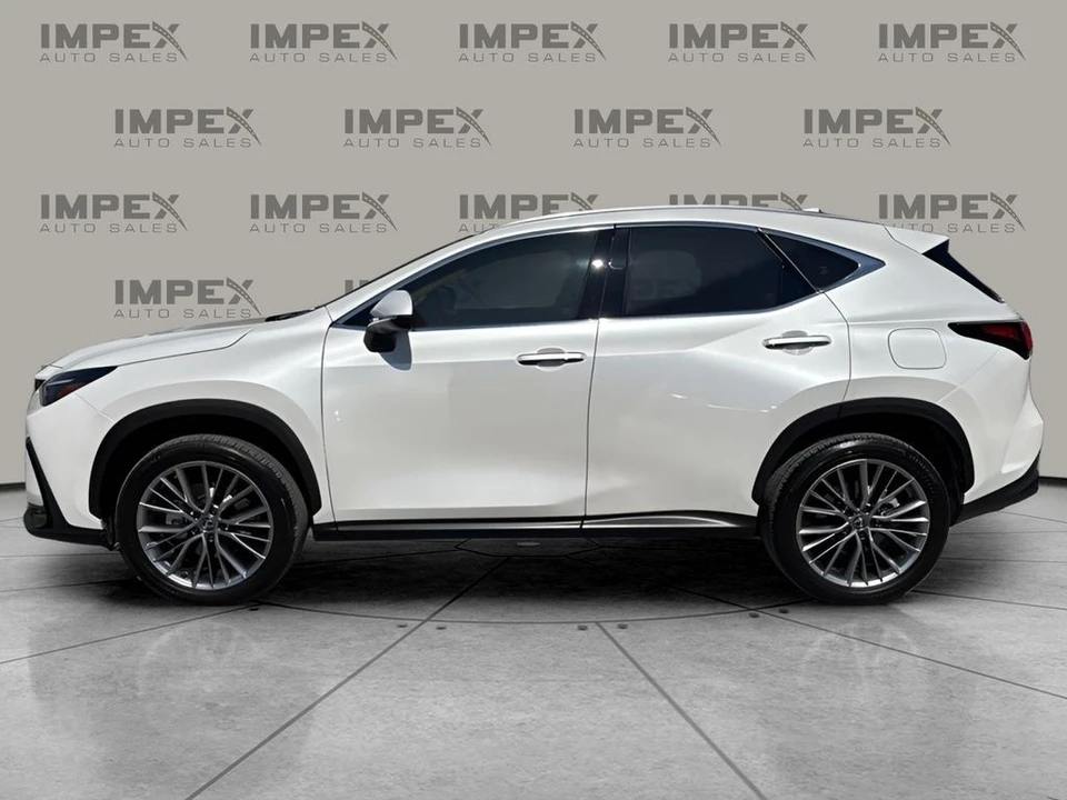 2025 Lexus NX 2nd Gen - Image 3 of 21