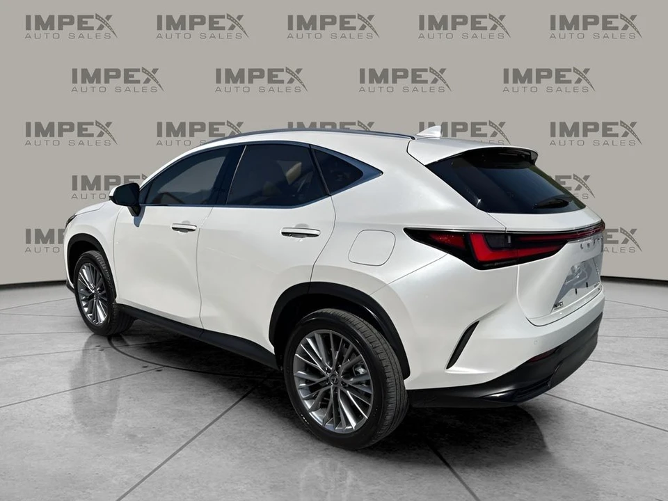 2025 Lexus NX 2nd Gen - Image 4 of 21