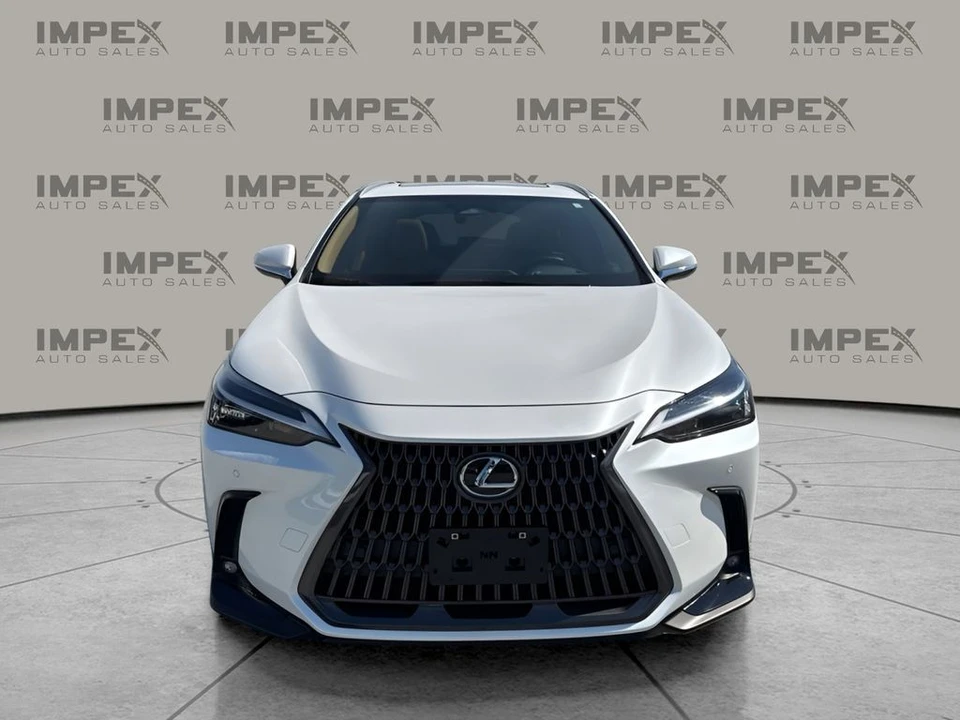 2025 Lexus NX 2nd Gen - Image 9 of 21