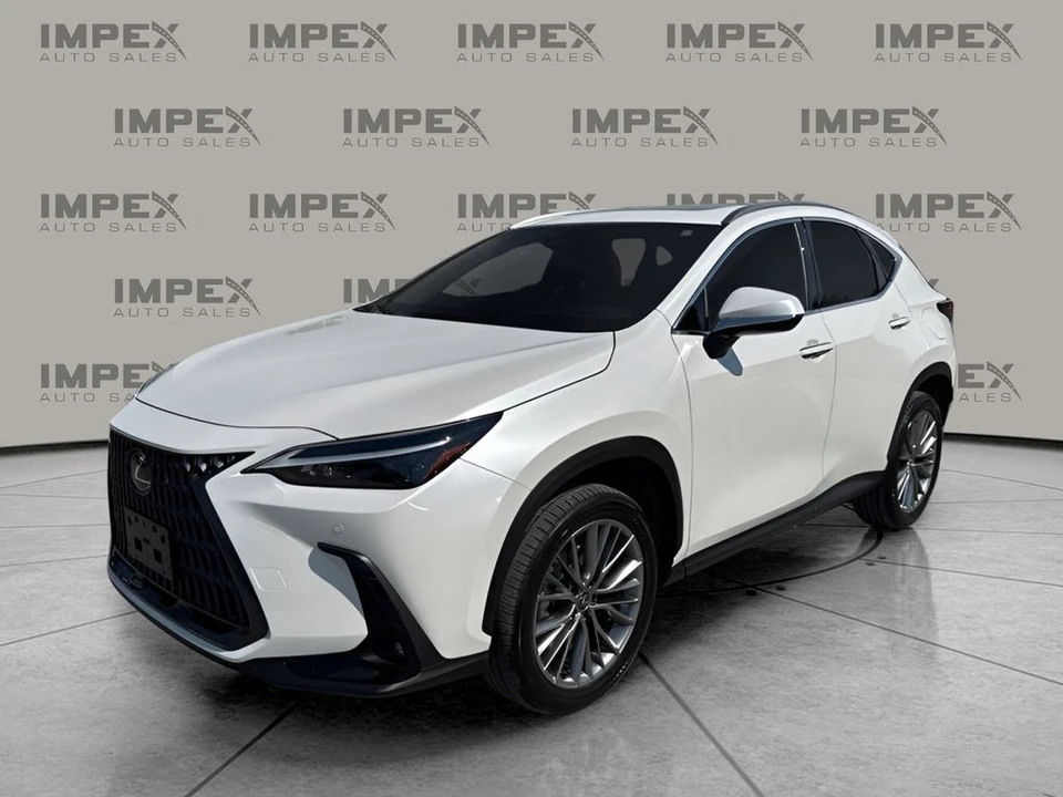 2025 Lexus NX 2nd Gen - Image 2 of 21