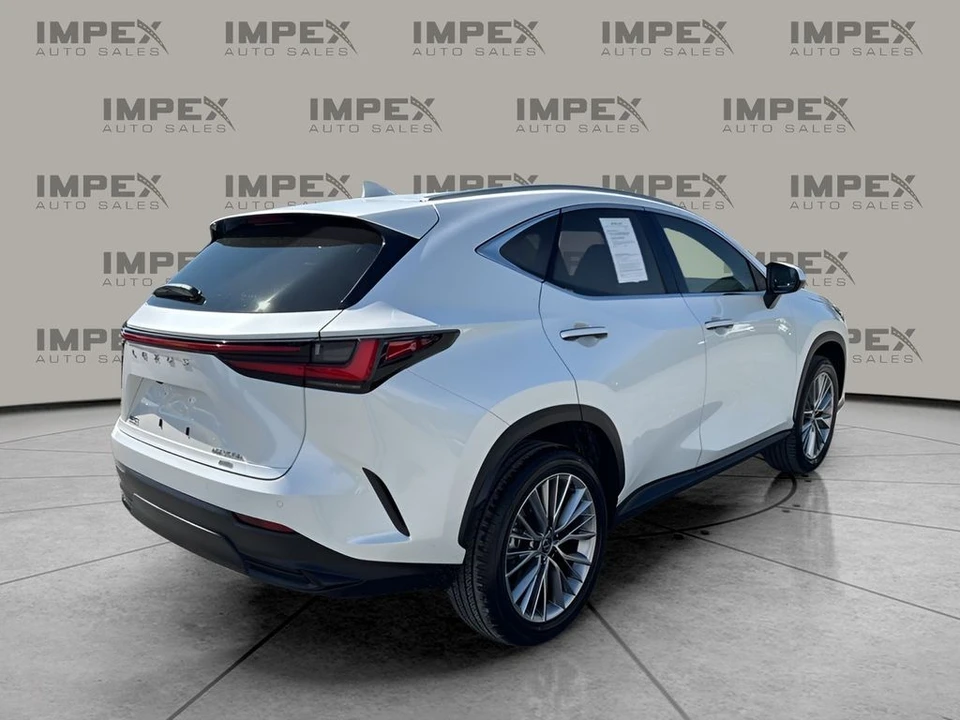 2025 Lexus NX 2nd Gen - Image 6 of 21
