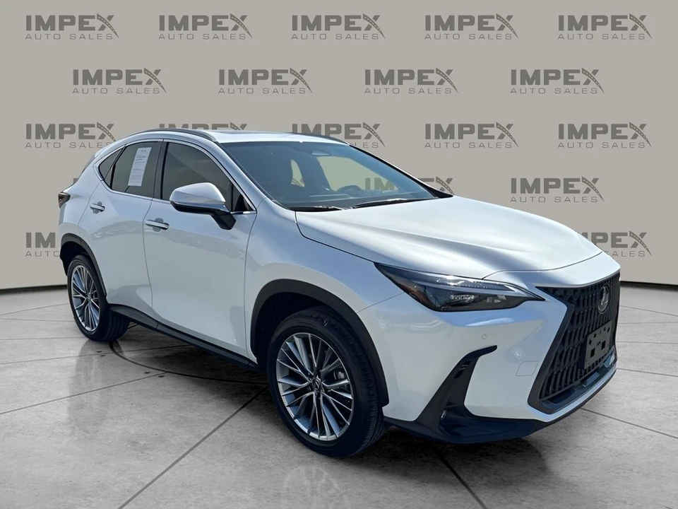 2025 Lexus NX 2nd Gen - Image 8 of 21