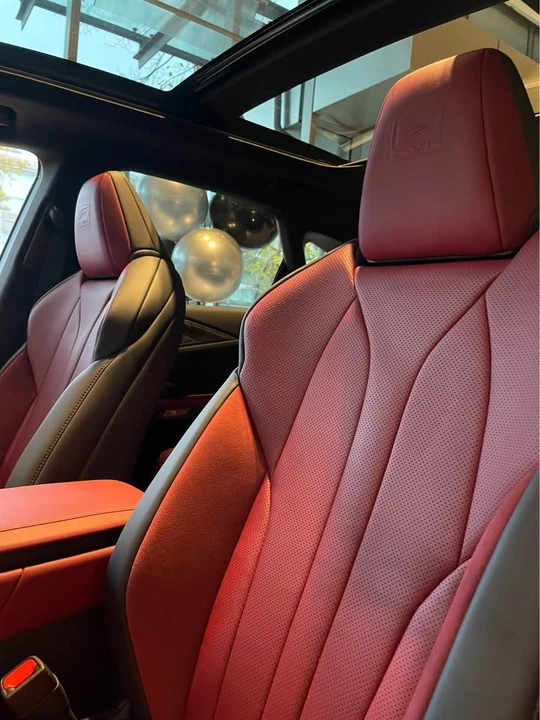 2025 Lexus RX 5th Gen - Image 14 of 20