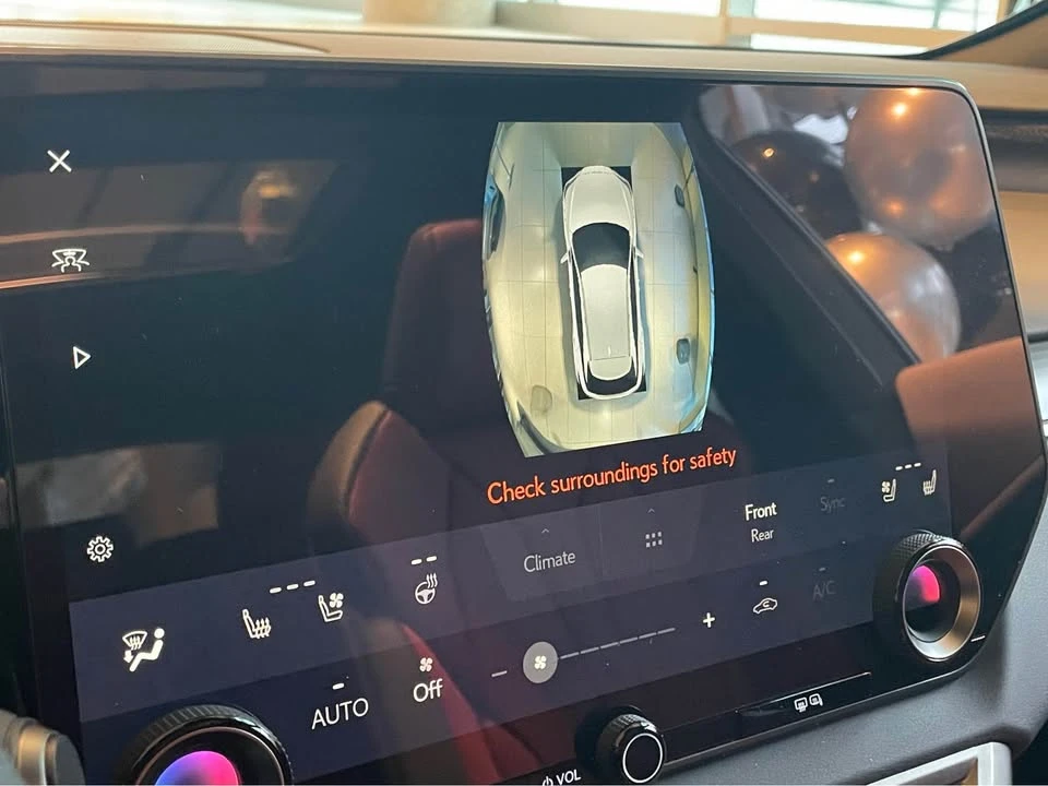2025 Lexus RX 5th Gen - Image 19 of 20