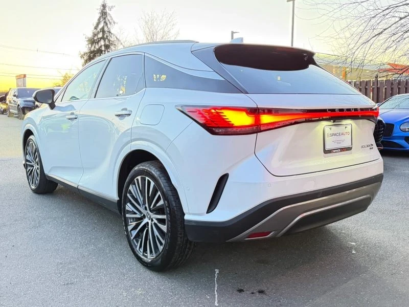 2025 Lexus RX 5th Gen - Image 7 of 12