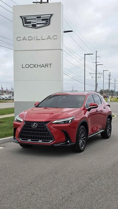 2025 Lexus NX 2nd Gen - Image 15 of 15