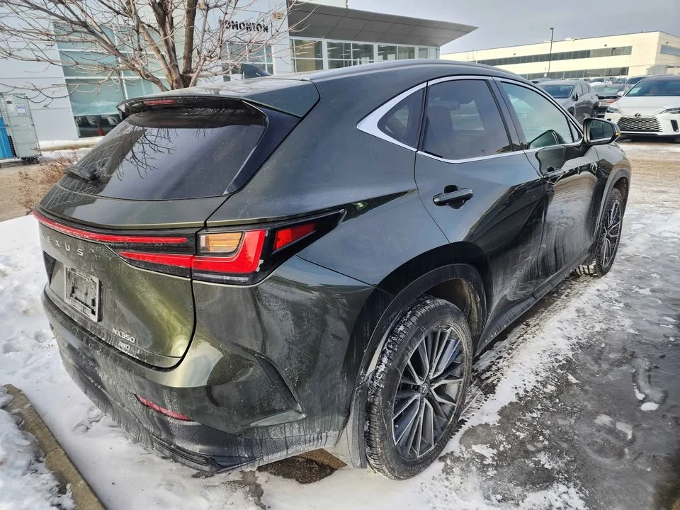 2025 Lexus NX 2nd Gen - Image 4 of 11