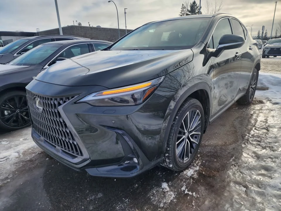 2025 Lexus NX 2nd Gen - Image 3 of 11