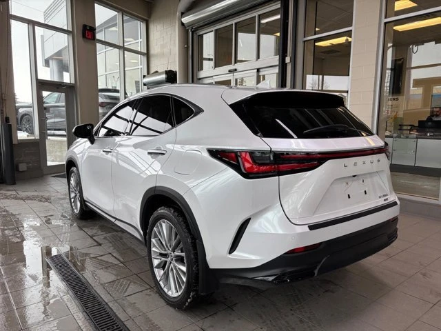 2025 Lexus NX 2nd Gen - Image 8 of 20
