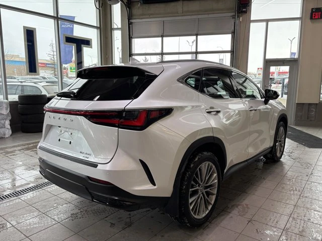 2025 Lexus NX 2nd Gen - Image 6 of 20