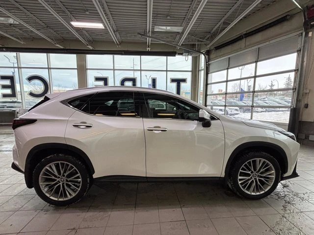 2025 Lexus NX 2nd Gen - Image 5 of 20