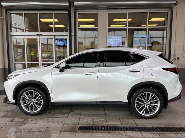 2025 Lexus NX 2nd Gen - Image 9 of 20